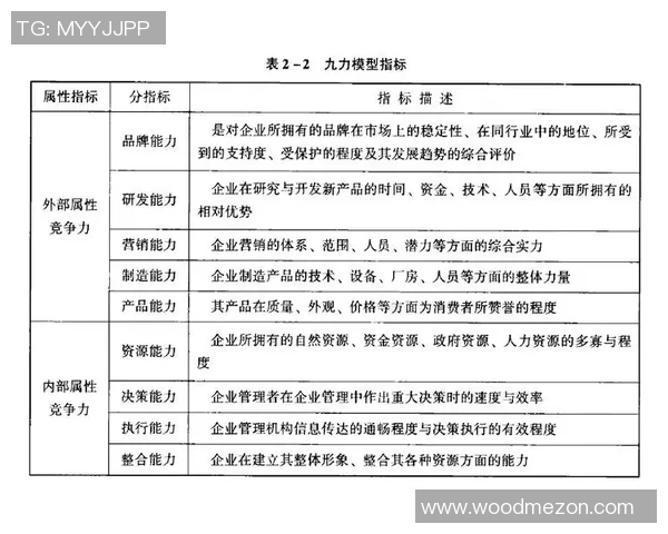 南京足球队在杯赛中的技术表现分析与点评探讨
